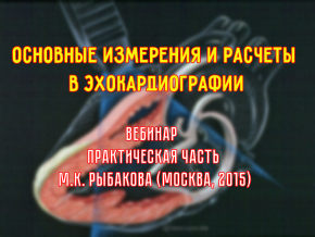 Основные измерения и расчеты в эхокардиографии (М.К. Рыбакова, 2015)