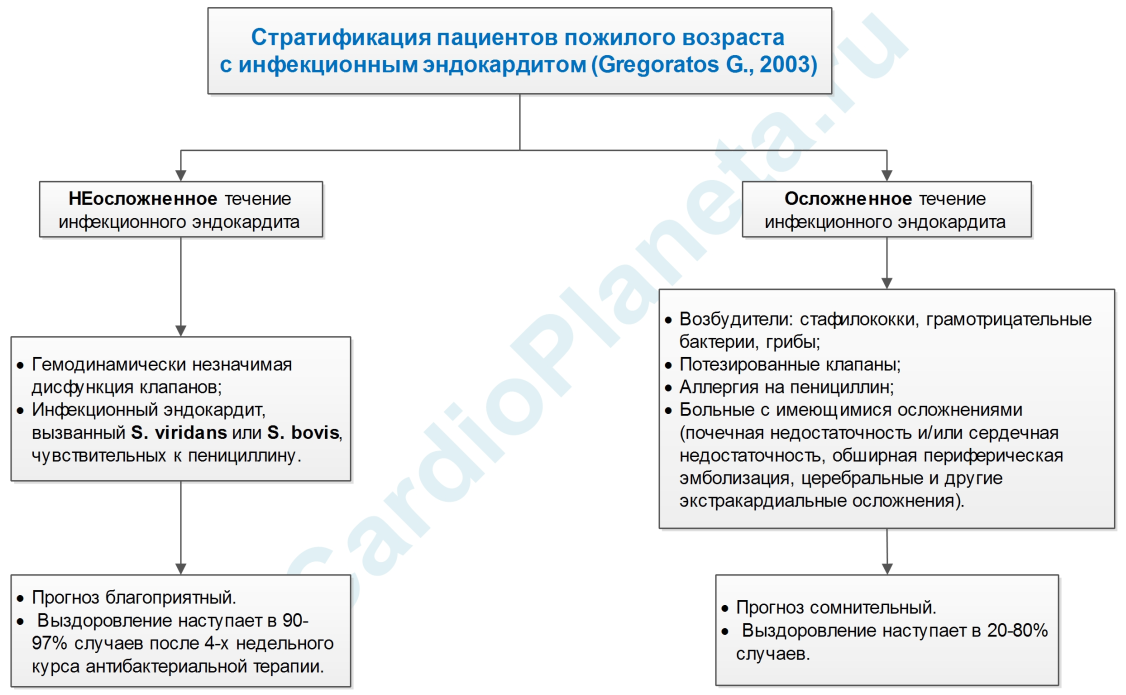 Стратификация пациентов пожилого возраста с инфекционным эндокардитом (Gregoratos G., 2003) Стратификация пациентов пожилого возраста с инфекционным эндокардитом (Gregoratos G., 2003)
